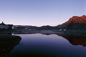 Sauvignon Blanc: Behøver det at være New Zealand?