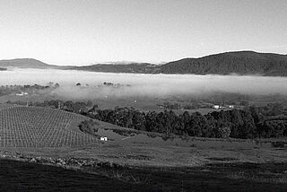 Timo Mayers vinmarker