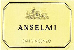 San Vincenzo 2014