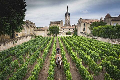 Chateau Canon Wein