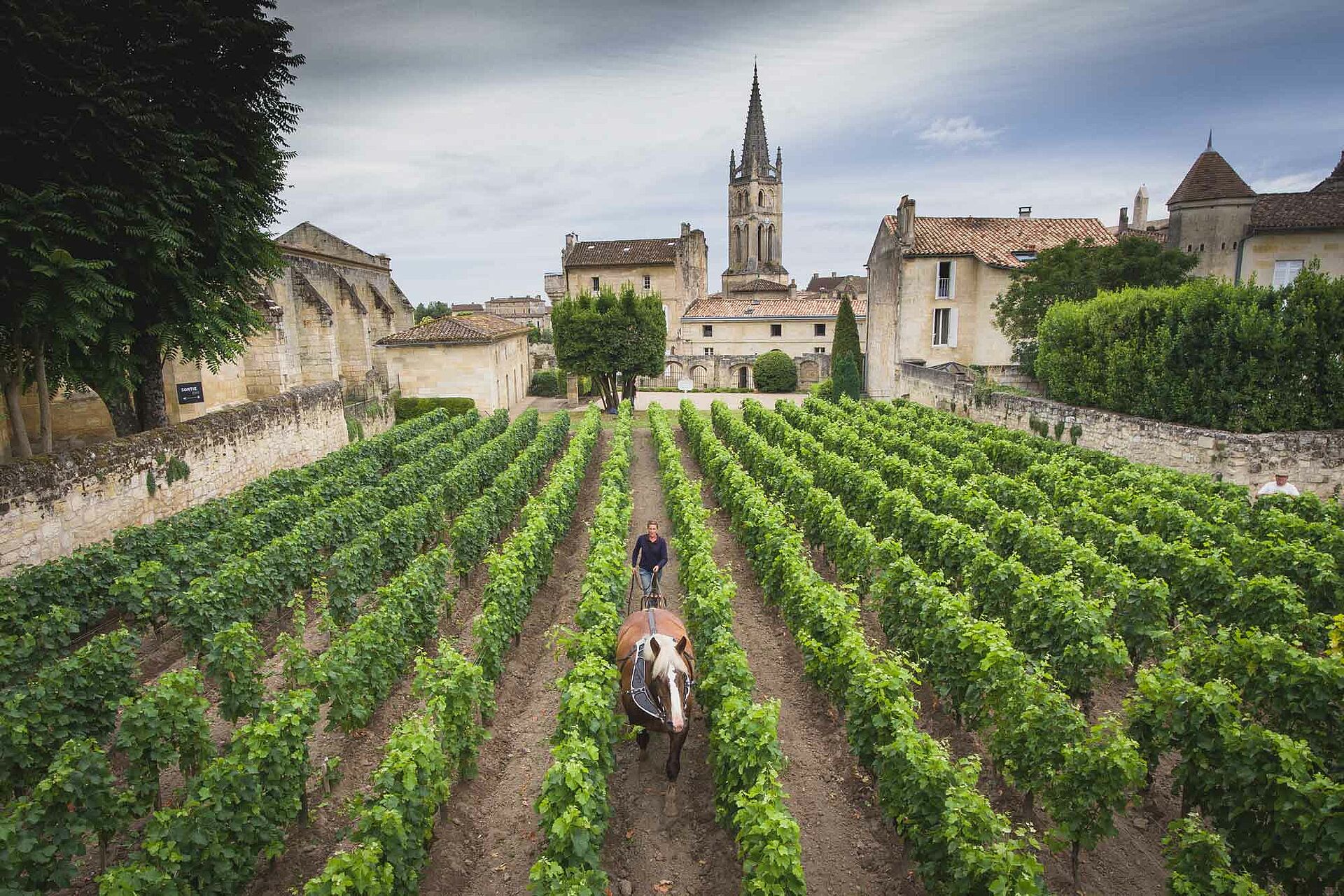 Chateau Canon