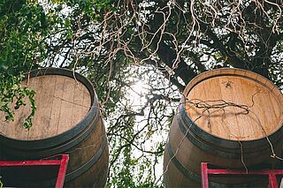 Vinfade fra Michelini i Muffato Mendoza