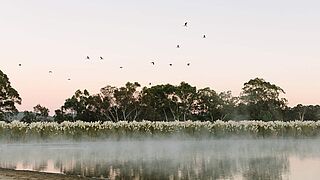 Regionen South Australia