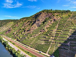 Uhlen Blaufüsser Lay