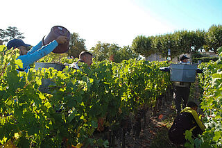 Bordeaux 2019