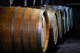 Weinfässer im Weinkeller