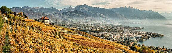 Schweiz Weinregion