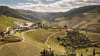 Douro-dalen