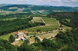 Vingård og vinmarker set i fugleperspektiv