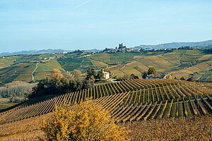 Piemont Jahrgang 2022 – Underdog mit Wow-Factor