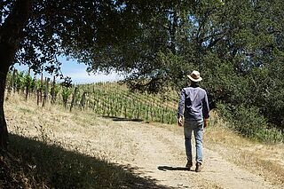 Der Winzer von Trinite Estate