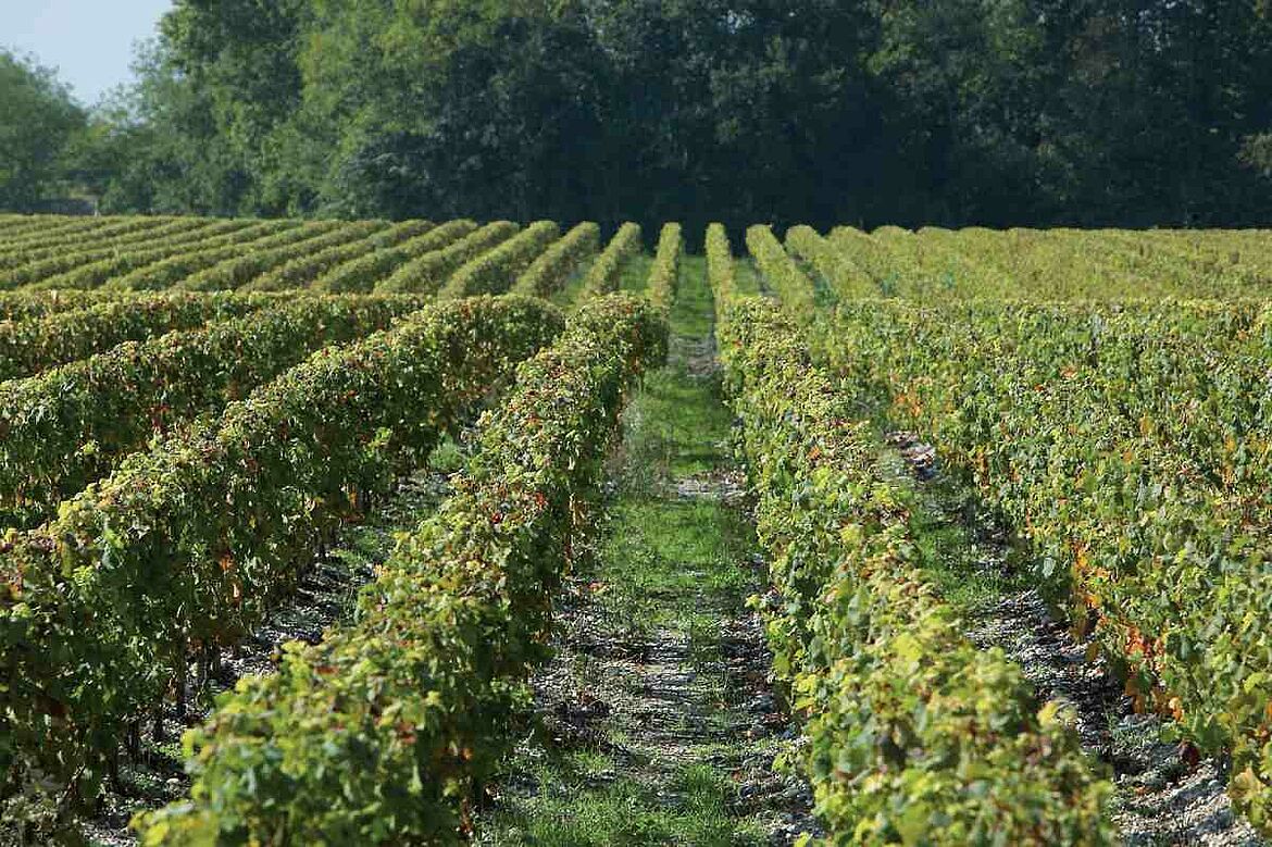 Domaine Les Sadons