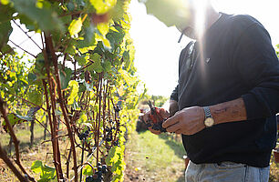 Blindprobe Klosterstück