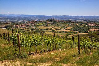 Ausblick auf Weinberge von Montenidoli bei blauem Himmel