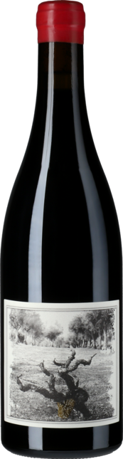 Muleta Quinta da Pellada 2017