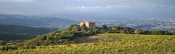 Ausblick auf ein Anbaugebiet in Italien