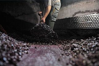 Maische und Kellerarbeit auf dem Weingut Jean Faure