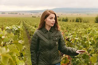 Vinproducenten fra Ruinart