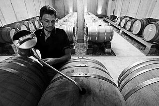 Weinkeller von Zehnthof Luckert Weinkeller von Zehnthof Luckert