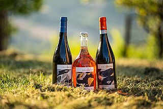 Valg af vinflaske på vingården La Follonica Valg af vinflaske på vingården La Follonica