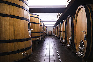 Michel Tardieu Weinkeller