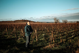 Winzer auf dem Weinberg Château Yvonne