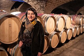 Weinkeller von Weingut Tollot Beaut