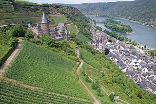 Fürstenberg vingård