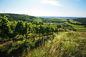 Burgenland