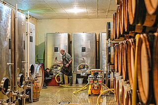 Weinkeller von Jeaunaux-Robin