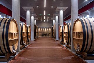 Weinfaesser im Weinkeller Taaibosch