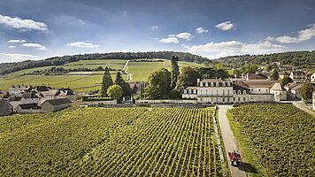 Bourgogne 2023 und 2024