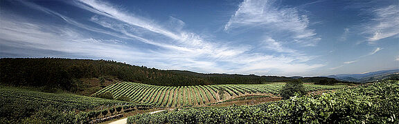 Die Landschaft der Rias Baixas