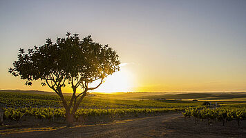 Andalusiens solrige kyst