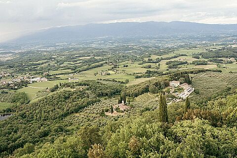Chianti Weinberge