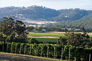 Block auf Weinfelder in Tasmanien