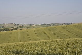 Blick über die Felder