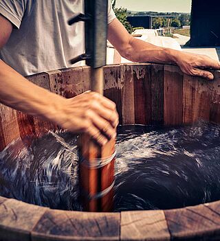 Dynamisering på Loimers vingård