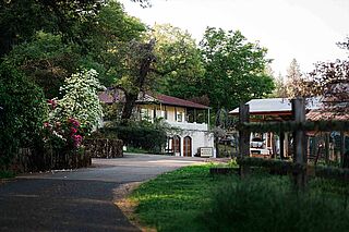 Auffahrt des Weinguts Dunn Vineyards Auffahrt des Weinguts Dunn Vineyards