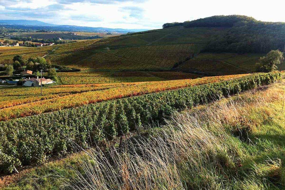 Chateau des Bachelards