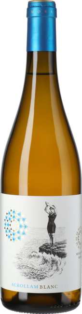 Weinpaket: Entdecker-Paket Weissweine Spaniens  | 6×0,75l