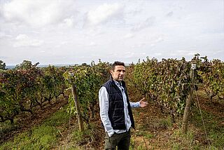 Winzer auf dem Weinfeld Tenuta San Guido