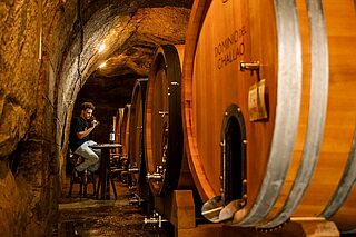 Vinmager hos Dominio del Challao Manuel Michelini i vinkælderen