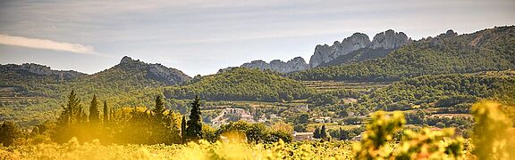 Gigondas und Rasteau Weinberge