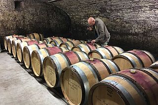 Kælderen på Domaine d'Eugenie Kælderen på Domaine d'Eugenie