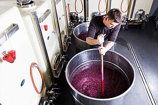 Arbeit im Weinkeller von Donatsch