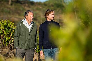 Lese bei Raventos i Blanc