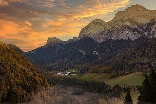 Chartreuse vingård i bjergene