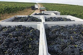 Læs hos F & F Peters Læs hos F & F Peters