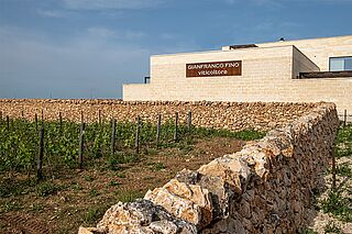 Das Weingut Gianfranco Fino